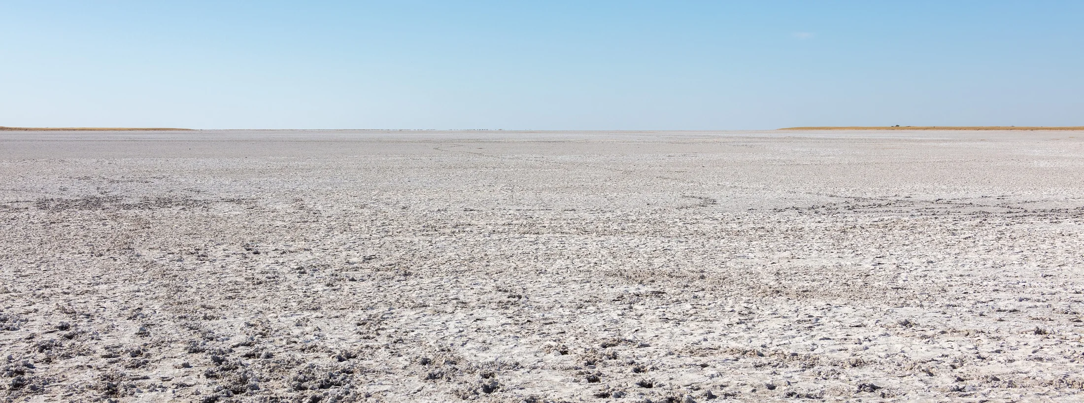 Pale salt-pan surface meeting a level horizon in Makgadikgadi Pans National Park