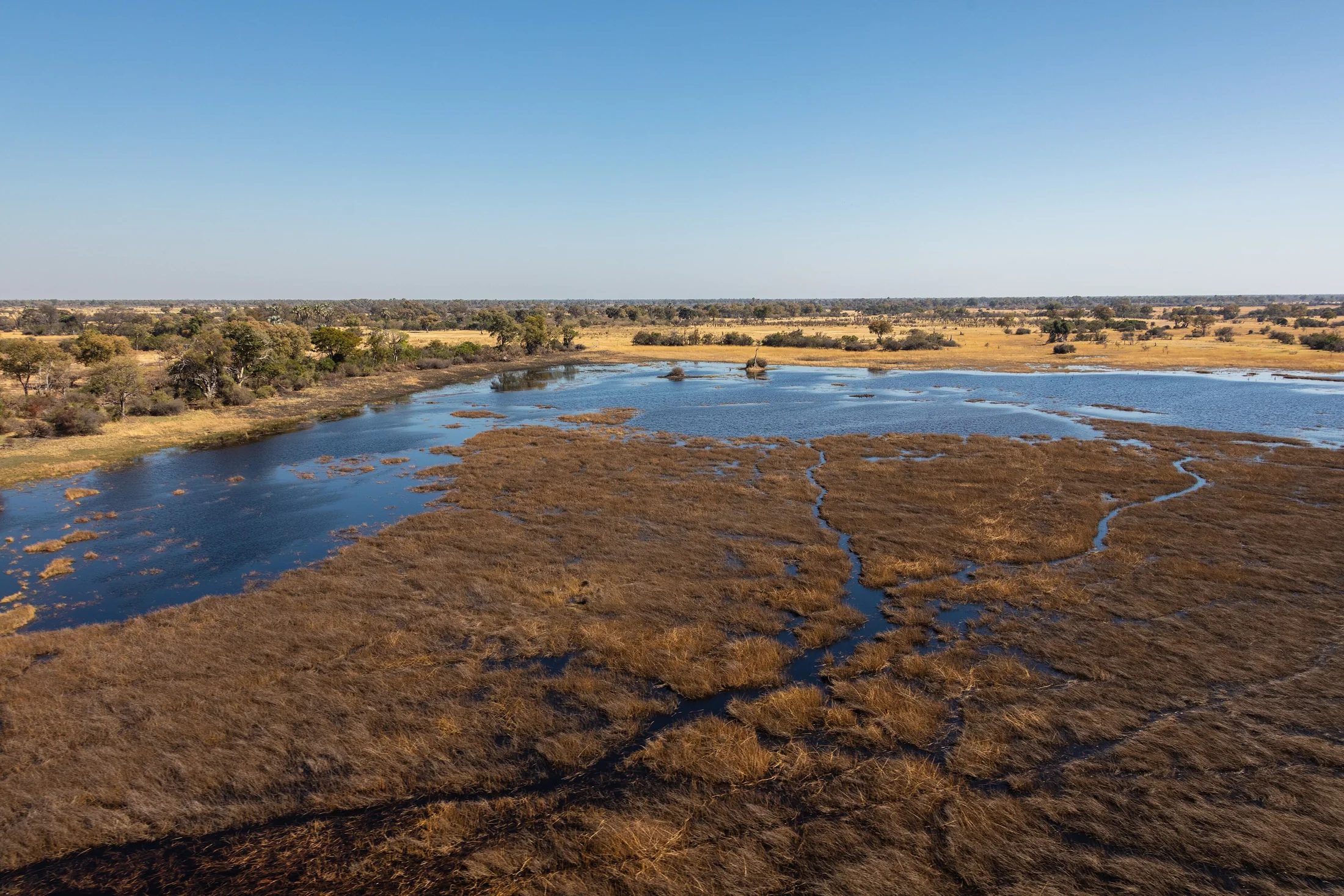 Water channels threading grass-covered islands in the Okavango Delta